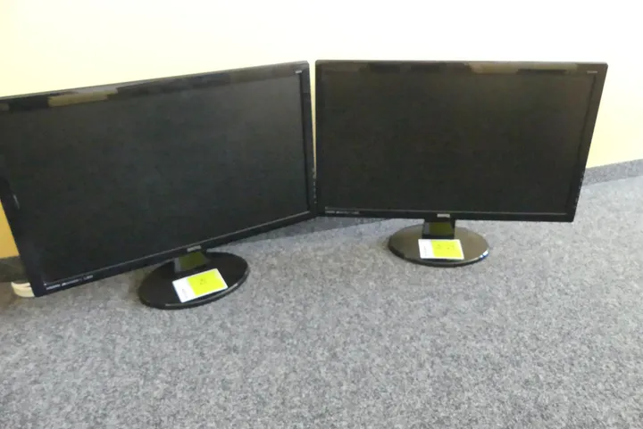2x BenQ GL2450HM Monitor